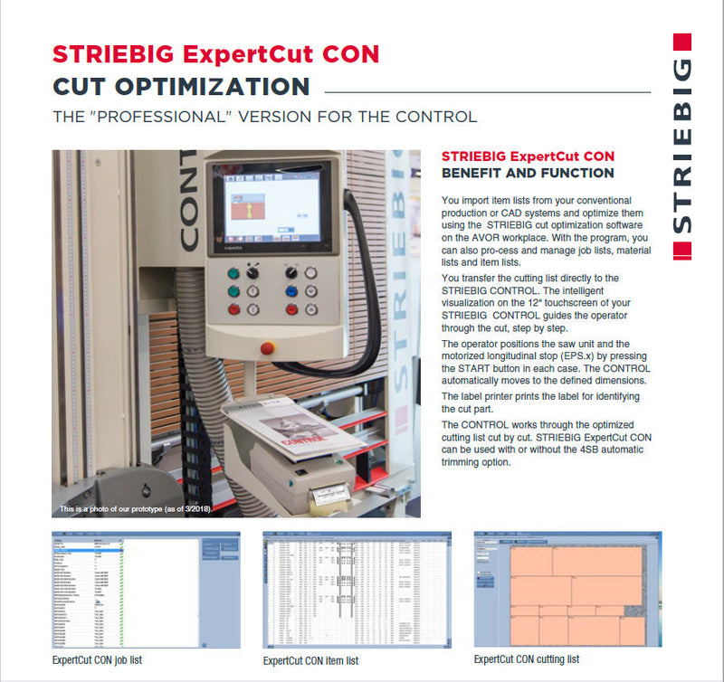 Striebig Control Vertical Panel Saw - Expert Cut Info